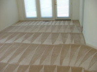 Magic Touch Carpet Cleaning of Tampa (5) - Cleaners & Cleaning services