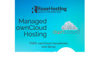 Rose Hosting (1) - Хостинг и домеин