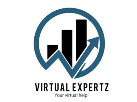 Virtual Expertz - Webdesign