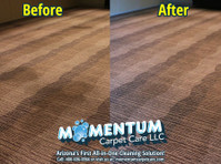 Momentum Carpet & Floor Care llc. (3) - Уборка