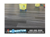 Momentum Carpet & Floor Care llc. (6) - Хигиеничари и слу