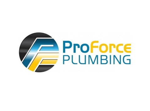 Pro Plumbing & HVAC Phoenix - Sanitär & Heizung