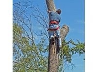 Cut It Right Tree Service (1) - Home & Garden Services