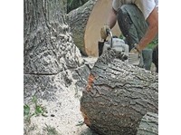 Cut It Right Tree Service (2) - Haus- und Gartendienstleistungen