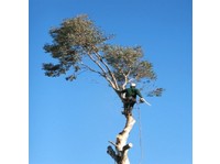 Cut It Right Tree Service (3) - Home & Garden Services