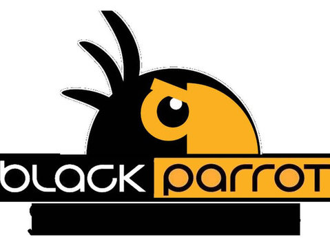 Black Parrot Signs Studio - ویب ڈزائیننگ