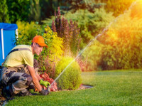 San Clemente Garden and Landscaping (1) - باغبانی اور لینڈ سکیپنگ