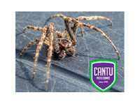 Cantu Pest & Termite (1) - Serviços de mascotas
