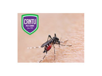Cantu Pest & Termite (3) - Servicios para mascotas