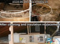 Attic Insulation by Labs (4) - Construction Services