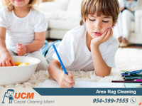 UCM Carpet Cleaning Miami (1) - Siivoojat ja siivouspalvelut