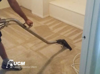 UCM Carpet Cleaning Miami (5) - Почистване и почистващи услуги