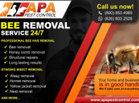 PROFESSIONAL PEST CONTROL SERVICES (1) - Cleaners & Cleaning services