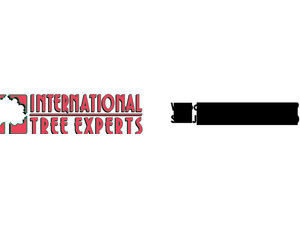International Tree Experts | Tree Removal in San Jose - Gardeners & Landscaping