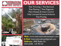 International Tree Experts | Tree Removal in San Jose (1) - Gardeners & Landscaping