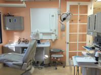 Menlo Park Dental Excellence (4) - Zubní lékař