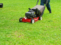 Stockton Lawn Care Service (4) - باغبانی اور لینڈ سکیپنگ