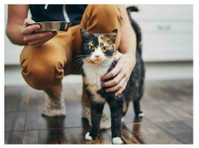 The Comforted Kitty (2) - Pet services