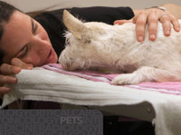 Nor Cal Veterinary Emergency and Specialty Hospital (1) - Opieka nad zwierzętami