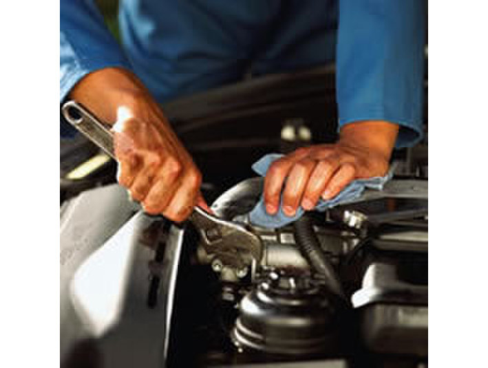 Eurasian Auto Repair - Car Repairs & Motor Service