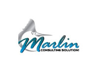 Marlin Consulting Solutions (1) - Agences de publicité