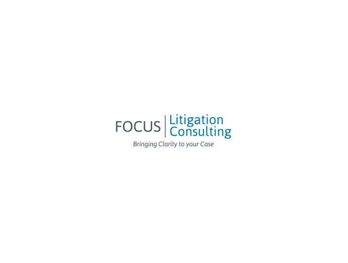 Litigation Consulting Miami - Адвокати и правни фирми