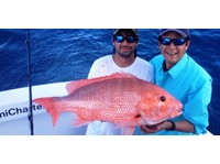 Miami fishing charters (1) - Kalastus