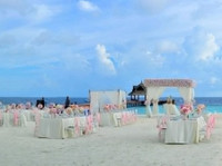wedding and events planning Miami (4) - Конференции и Организаторы Mероприятий