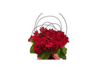 The Blossom Shoppe Florist & Gifts (5) - Подаръци и цветя