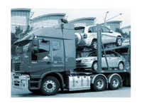 Auto Transport - United Freight of America (1) - Transporte de carro