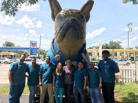 Miami Shores Animal Clinic (2) - Домашни услуги