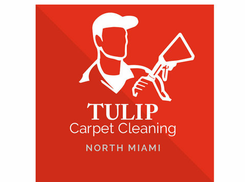 Tulip Carpet Cleaning North Miami - Cleaners & Cleaning services