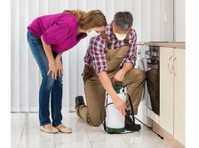 24H Pest Pros (3) - Home & Garden Services