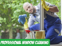 Chicago Racoons - Window & Power Washing (2) - Хигиеничари и слу