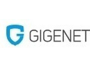 GigeNET - Бизнис и вмрежување