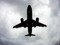 Flightsbird (2) - Vluchten, Luchtvaartmaatschappijen & Luchthavens