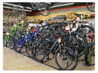 BOI Bicycle Outfitters Indy (2) - سائکلنگ اور ماؤنٹن بائیک