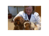 Benson Animal Hospital (1) - Pet services