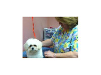 Benson Animal Hospital (2) - Pet services