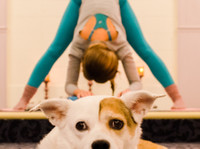 Selah Yoga (2) - Tělocvičny, osobní trenéři a fitness