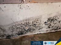 FDP Mold Remediation of Towson (5) - Cleaners & Cleaning services