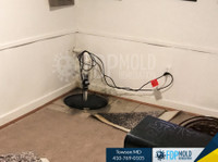 FDP Mold Remediation of Towson (7) - Cleaners & Cleaning services