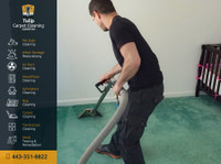 Tulip Carpet Cleaning Odenton (2) - Хигиеничари и слу
