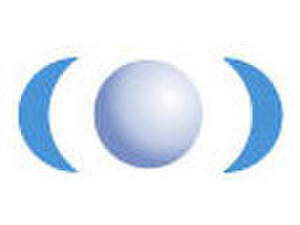 Blue Pearl Software Inc - Образуване на компания