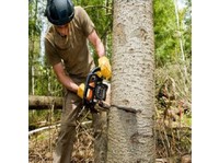 Ann Arbor Tree Service Pros (2) - Gärtner & Landschaftsbau