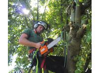 Ann Arbor Tree Service Pros (4) - Dārznieki un Ainavas