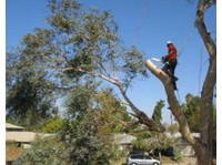 Arbor View Tree Service (2) - Expert-comptables