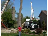 Arbor View Tree Service (3) - Бизнес Бухгалтера