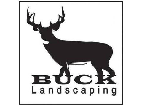 Buck Landscaping - Gardeners & Landscaping
