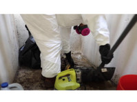 Mold Removal Las Vegas (2) - Дом и Сад